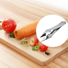 Stainless Steel Fruit Peeler