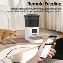 Automatic Cat Feeder with Camera