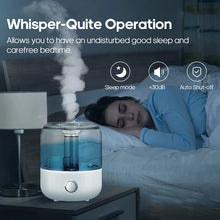 3L Professional Home Humidifier