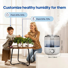 3L Professional Home Humidifier